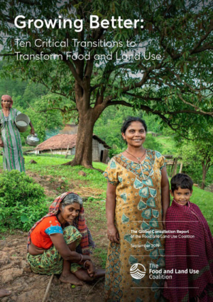 The Food and Land Use Coalition - Growing Better: Ten Critical Transitions to Transform Food and Land Use