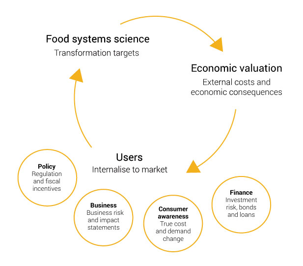 FoodSIVI food system impact valuation diagram