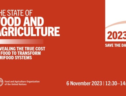 Weighing up the cost of food systems: FAO State of Food and Agriculture 2023