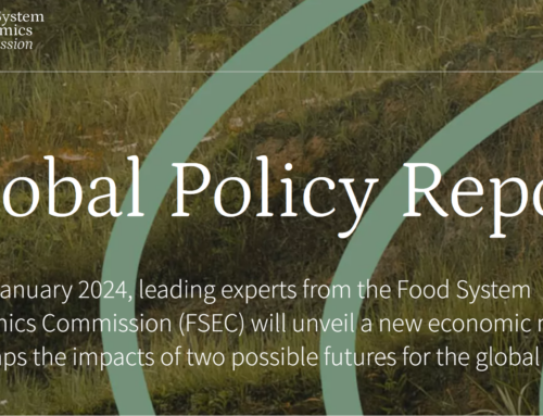 Launch of the Food System Economic Commission global report